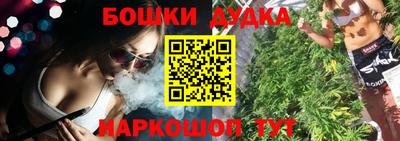 индика Заводоуковск