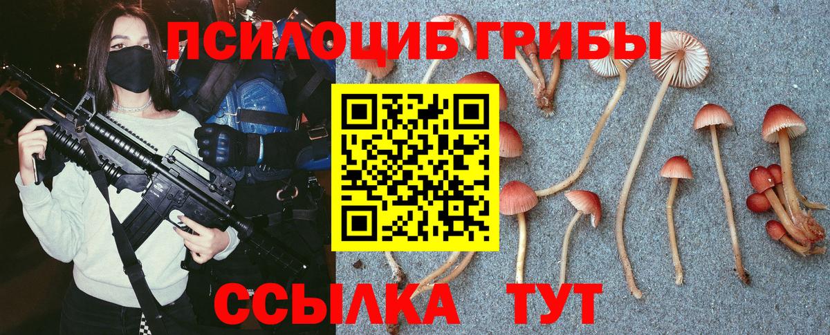 Нижний Тагил  Псилоцибиновые грибы мицелий  Псилоцибиновые грибы Magic Shrooms  Вход с VPN 